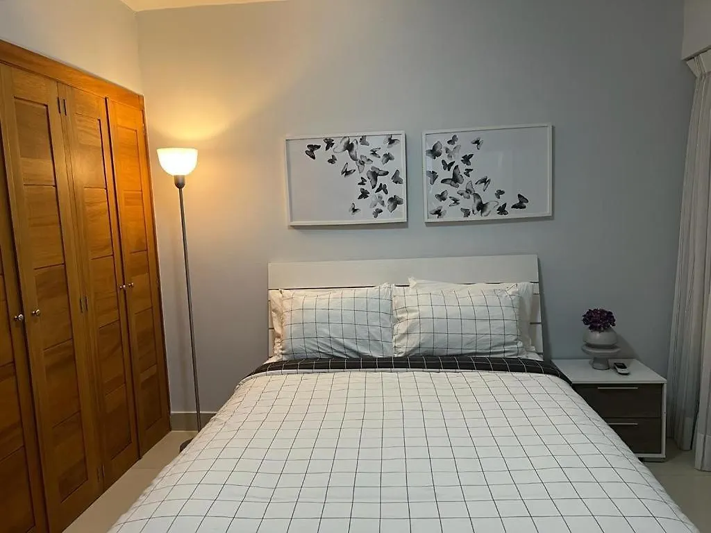 Comodo Y Centrico Apto. En El Centro De La Ciudad! Daire Santo Domingo
